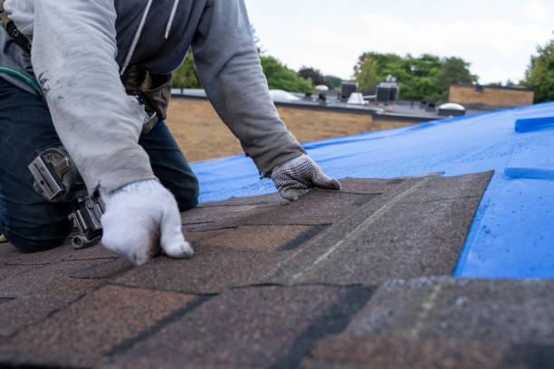 Best Emergency Roof Repair  in Lomira, WI