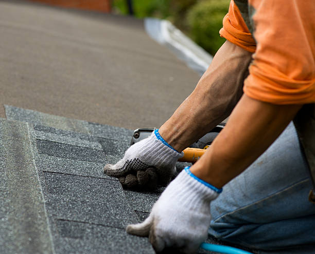 Best Roofing Contractor Near Me  in Lomira, WI