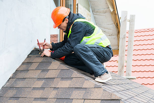 Best Roof Gutter Cleaning  in Lomira, WI