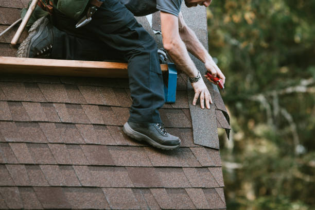 Best New Roof Installation  in Lomira, WI